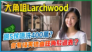 大角咀Larchwood｜200幾呎開放式及一房單位｜邊5伙唔洗400萬？｜會有條天橋由旺角駁過去？｜示範單位｜景觀開則、配套分析｜上車盤｜新盤｜旺角｜宏安地產｜新盤任您睇｜易發睇樓團 [upl. by Beata920]