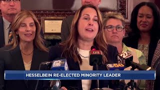 Wisconsin democrats reelect Senate Minority Leader Dianne Hesselbein [upl. by Adnwahsar]