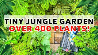 Small Tropical Jungle Garden Tour amp Design Ideas with Simon Mabury [upl. by Yarw]