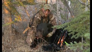 2 Mega giant black bears in one hunt Recurve and compound in same tree one hunter Boone amp Crockett [upl. by Lawan]