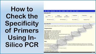 How to Check the Specificity of Primers Using In Silico PCR in UCSC Genome Browser [upl. by Lin]