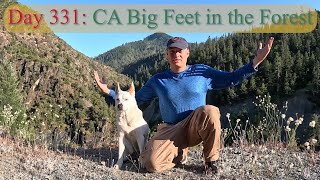 Day 331 CA Big Feet in the Forest [upl. by Honniball]