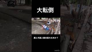 大転倒、鹿と外国人観光客大丈夫か？🫎奈良公園▶️クリックするとロングバージョンに移行します [upl. by Sean350]