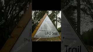 The Rendlesham Forest UFO Mystery Unexplained Lights and Secrets strangephenomena ufopodcast [upl. by Hilar]