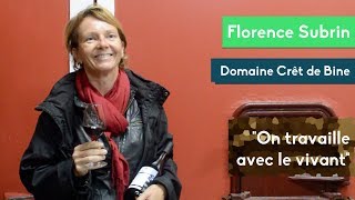 Florence Subrin  Crêt de Bine  2 La Vinification du Beaujolais Nouveau [upl. by Fates]