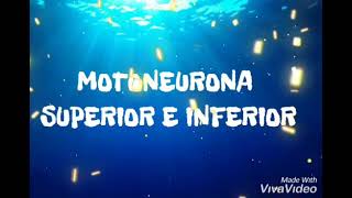 Motoneurona superior e inferior [upl. by Issirk]