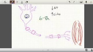 Regeneracion nerviosa snp Parte 1 Neuroapraxia Axonotmesis Neurotmesis Histologia [upl. by Anerac]