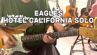 EAGLES HOTEL CALIFORNIA SOLO  이글스 호텔켈리포니아 솔로 [upl. by Gahl975]