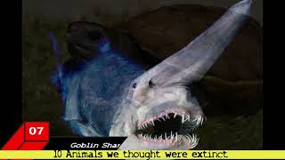 10 Animals we thought were extinct [upl. by Proudlove]