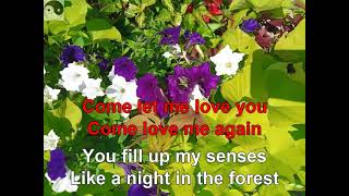 KARAOKE Annies Song John Denver [upl. by Spiegel]