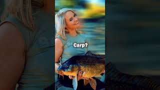 Catch MORE Carp Without Bait Boat in Just 2 Hours bankangling [upl. by Cazzie]