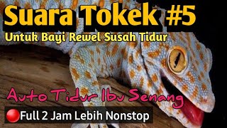 Suara Tokek Seram Pengantar Bayi Susah Tidur Full 2 jam  the sound of a big Spooky Gecko in Bed 5 [upl. by Edvard]