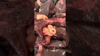 Fasciola hepática en canalículos biliares 🐮 medicinaveterinaria veterinaria [upl. by Dduj284]