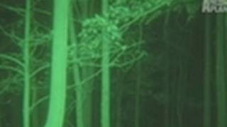 Search for the Ohio Bigfoot  Finding Bigfoot [upl. by Rudin]