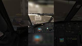 Welcome Aboard A Relaxing Flight Experience Awaits airplane microsoftflightsimulator [upl. by Sander351]