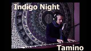 Indigo Night  Tamino Cover [upl. by Aicittel900]