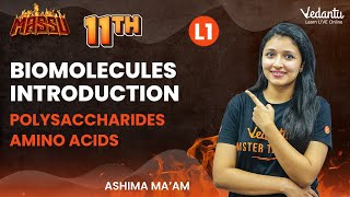 Biomolecules Introduction  Polysaccharides  Amino Acids  Class 11  Ashima maam  V Master [upl. by Mireille725]