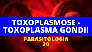 TOXOPLASMOSE  TOXOPLASMA GONDII  PARASITOLOGIA 20 [upl. by Nwahsauq]