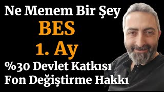 Ne Menem Bir Şey BES 1 Ay Yüzde 30 Devlet Katkısı ve Fon Değiştirme Hakkı [upl. by Enomes735]