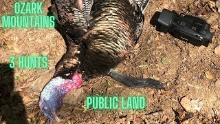 Ozark Mountain Turkey Hunting  3 Hunts [upl. by Woodhead27]