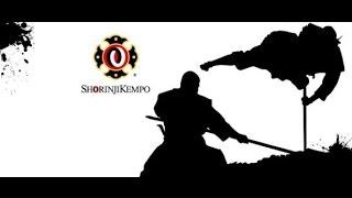 ►Demonstration Shorinji Kempo By Arai Shoji Sensei [upl. by Gnoy88]