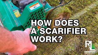 HOW DOES A SCARIFIER WORK  RICH LAWNS [upl. by Suoicul]