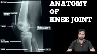 KNEE JOINT ANATOMY [upl. by Haddad]