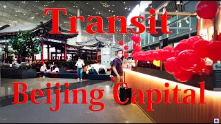 【Airport Tour】2023 How to Transit at Beijing Capital Airport PEK [upl. by Lenneuq]