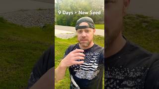 New Grass Seed Progress grassseed lawncare lawncarevlog [upl. by Yneffit]