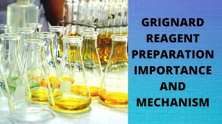 Grignard Reagent  Preparation  Importance and Mechanism  Organic Chemistry [upl. by Held]