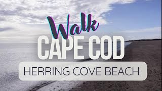 Virtual Walking Tour Cape Cod  Herring Cove Provincetown [upl. by Geri]