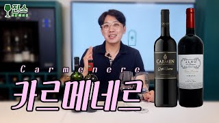 포도품종 카르메네르 Carmenere 한식과 어울리는 환상적인 와인 l 가성비 와인 추천 l 칠레 와인 l 레드와인 [upl. by Pelaga914]