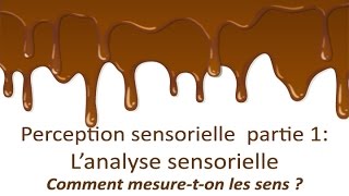 Perception sensorielle partie 1  lanalyse sensorielle cest quoi [upl. by Llevra]