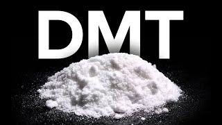 What the Research Says about DMT [upl. by Yrhcaz]