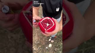 Pomegranate 🍑 pomegranate trendingshorts [upl. by Piero]