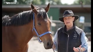 THOROUGHBREDS ARE GO EP 6  2024 WHOLE SHOW [upl. by Lotti]