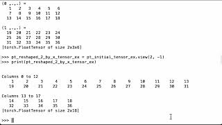 Infer Dimensions While Reshaping A PyTorch Tensor [upl. by Bokaj628]