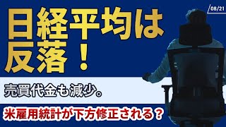 821日経平均は反落！売買代金も減少。米雇用統計が下方修正される？ [upl. by Iadam]