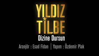 Yıldız Tilbe Dizine Dursun [upl. by Xyno]