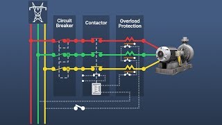 Motor Overload Protection [upl. by Merat807]