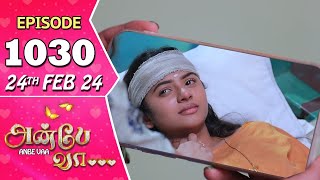 Anbe Vaa Serial  Episode 1030  24th Feb 2024 Virat  Shree Gopika Saregama TV Shows Tamil [upl. by Fanni470]