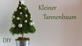 DIY  Kleiner Tannenbaum  schöne Weihnachtsdeko mit Naturmaterialien  Just Deko [upl. by Phelgon725]