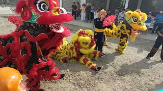 Ceremonia y Danza de dragones y leones Chinos [upl. by Lou]