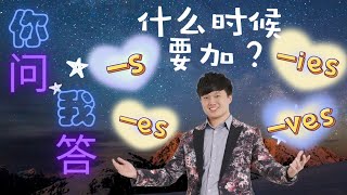 【s es ies and ves 应该在几时用呢？】小学必备❗ [upl. by Raimondo]