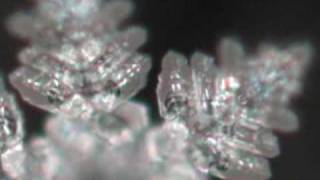 Chile National Anthem Water Crystal [upl. by Nayhr]