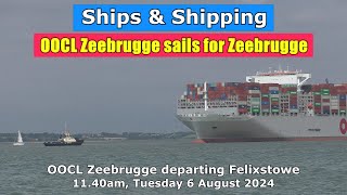 Seagoing Giant OOCL Zeebrugge sails from Felixstowe for Zeebrugge Tuesday 6 August 2024 [upl. by Wyne]