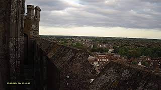 Chichester Cathedral 2 Peregrine Perch☀️230524 [upl. by Parrisch]