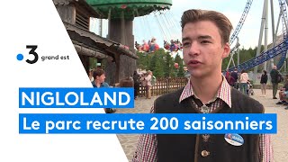 Emploi  Nigloland recrute 200 saisonniers pour lautomne [upl. by Kalin]