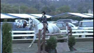 Reno  Equitation horse for sale [upl. by Col468]