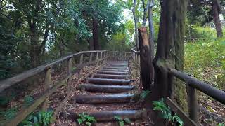 Ikuta Ryokuchi Park on a Rainy Day  4K [upl. by Bopp827]